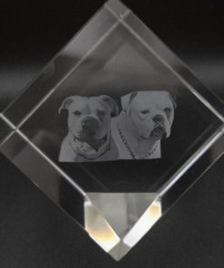 Glasblok met gravering